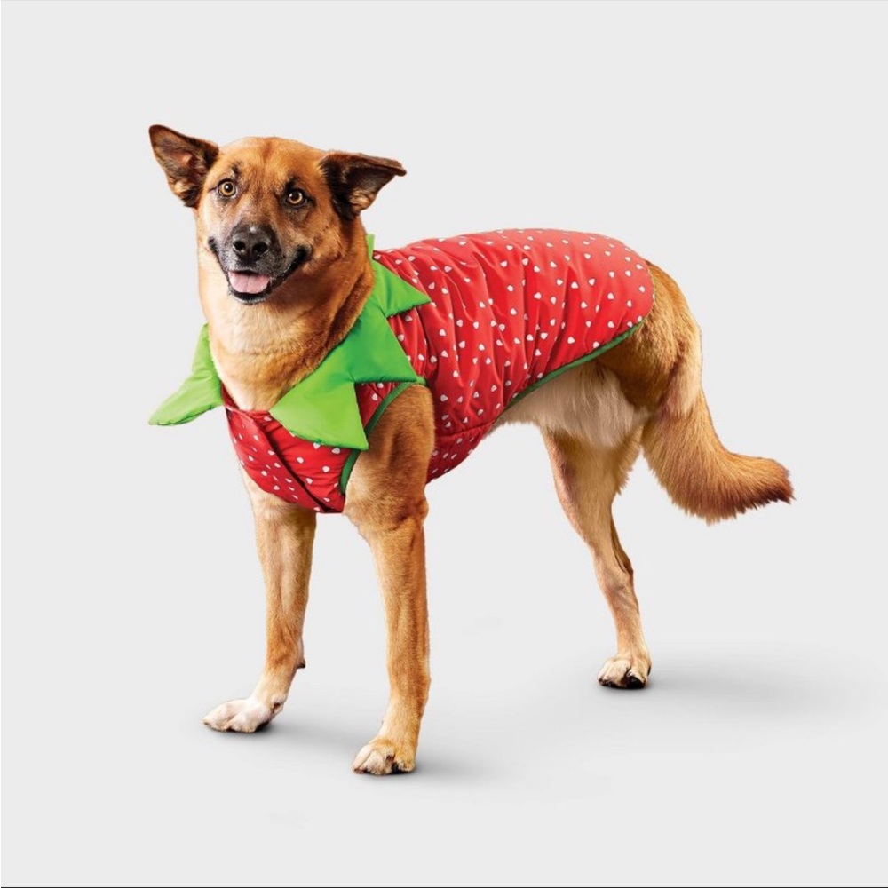 NWT Reflective Strawberry Dog Vest